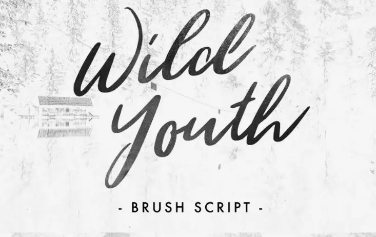 Wild Youth